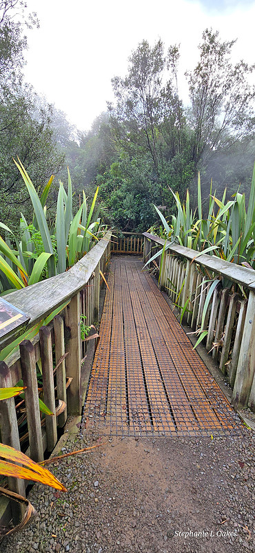 Waikite Valley hot pools and camp ground