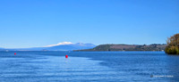 Lake Taupo Summer