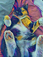 1000001210