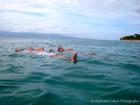 Nature/Underwater