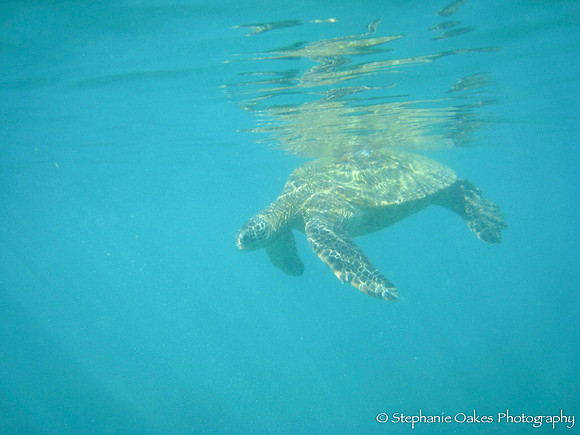 Water shots-29